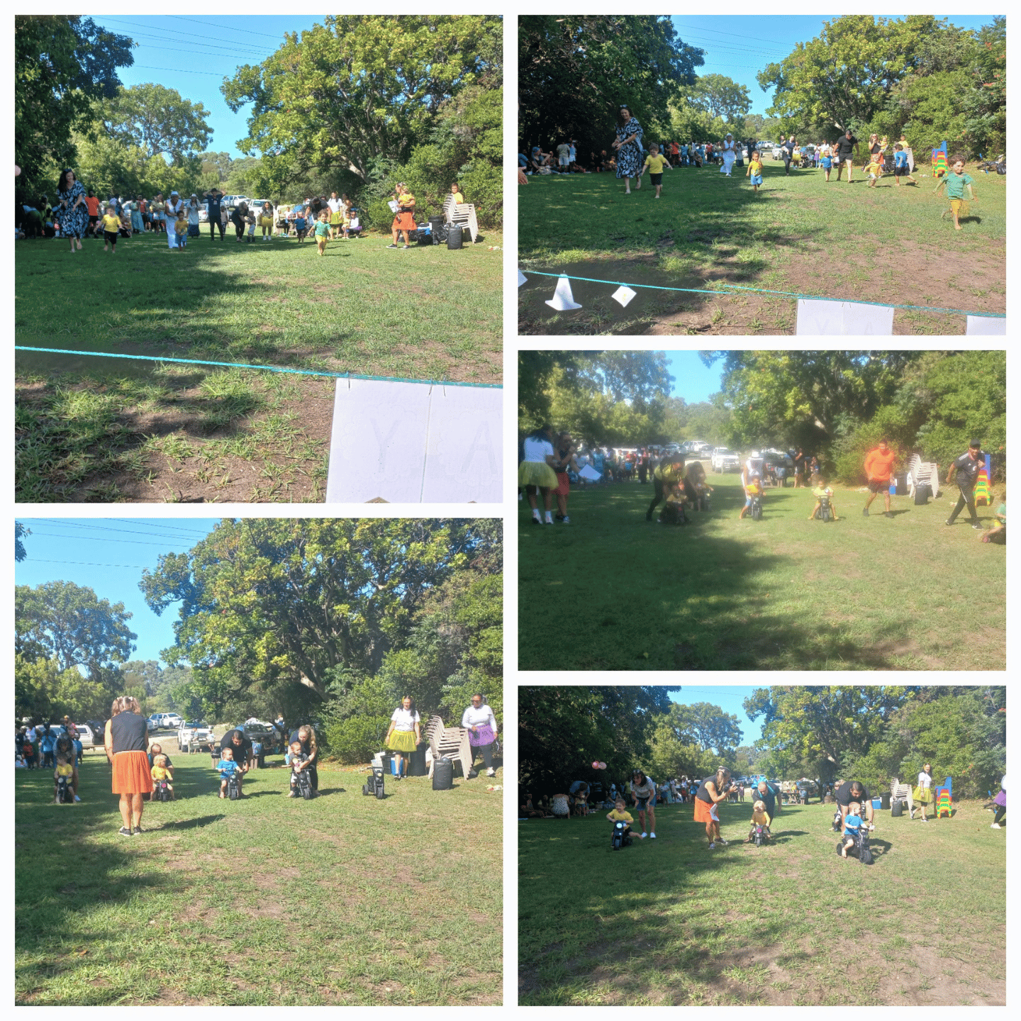 Untitled design (13)