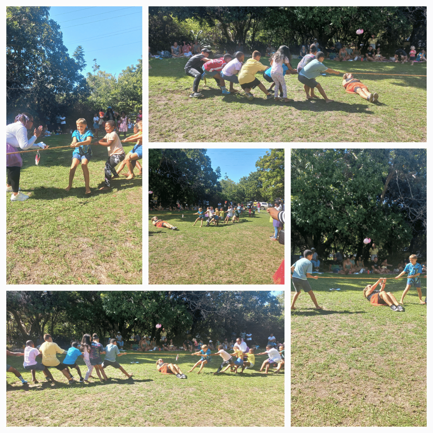 Untitled design (14)